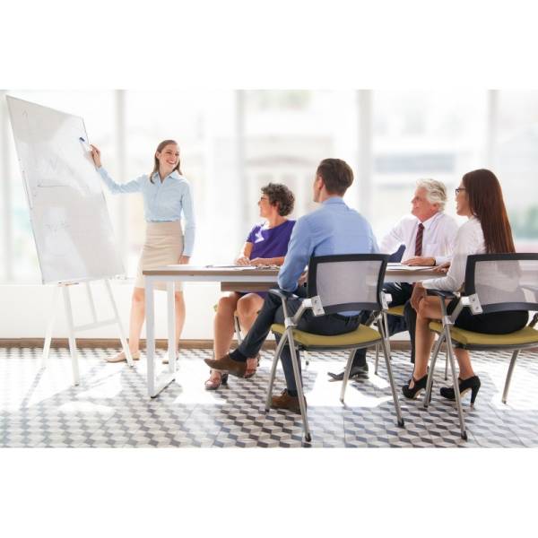 Titre professionnel Assistant(e) de Direction à Basse-Terre en Guadeloupe 971